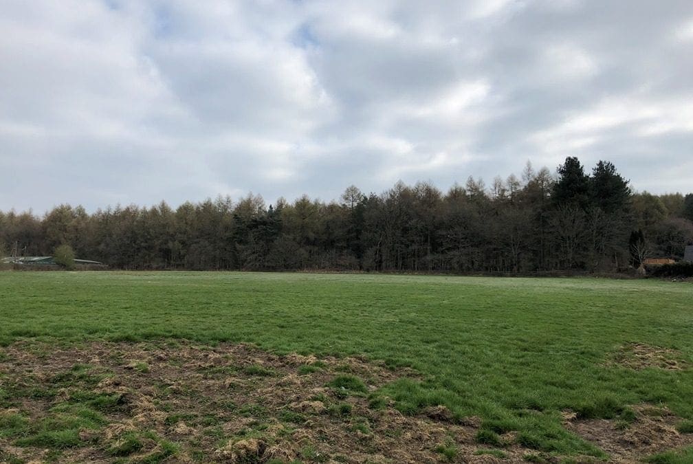 Site announced for new Community Hospital in the Forest of Dean