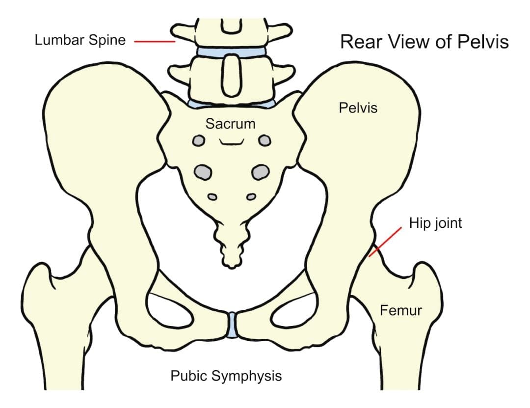 Hip problems > Glos Health & Care NHS Foundation Trust