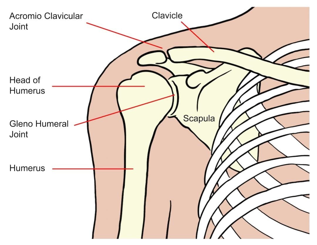 Shoulder problems > Glos Health & Care NHS Foundation Trust