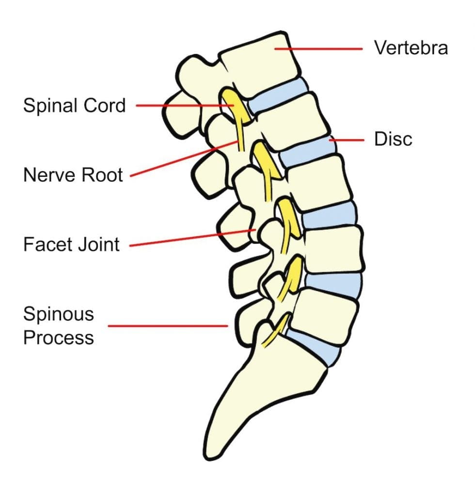 Back problems > Glos Health & Care NHS Foundation Trust